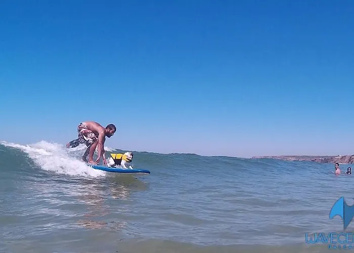 The Wave Gæstehus Baleal